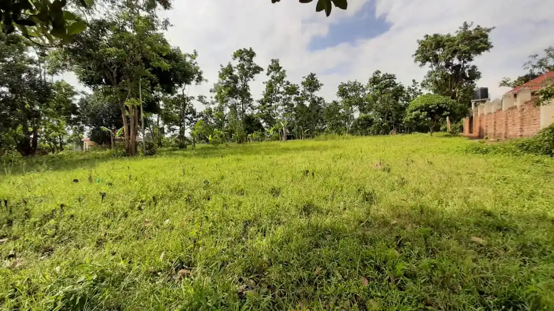 Titled 110 X 80 Ft Land for Sale in Sseguku-Katale