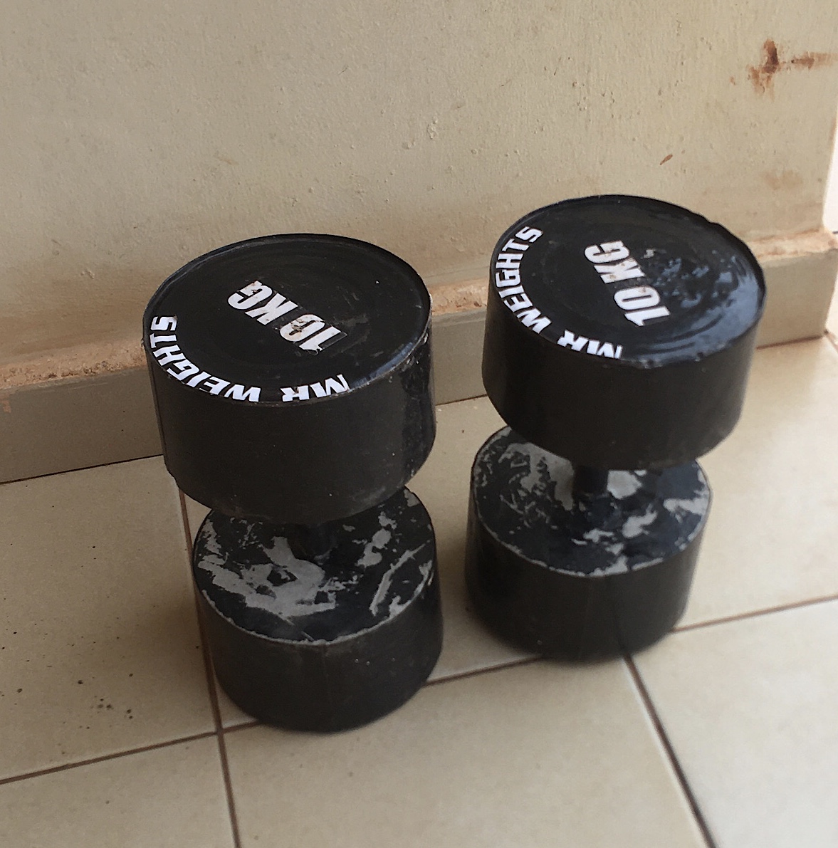 20kg dumbbell for sale