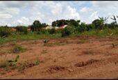 Plot in Busukuma 200metres from tarmac