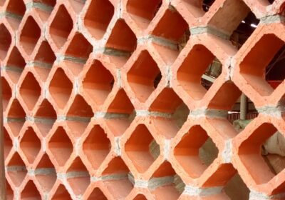 IMG_20230324_095215_12