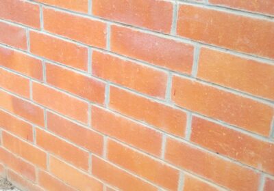 IMG_20251117_140834_0942-1