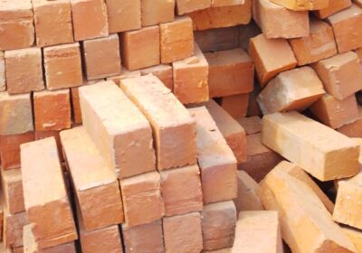 IMG_20251209_102723_9452