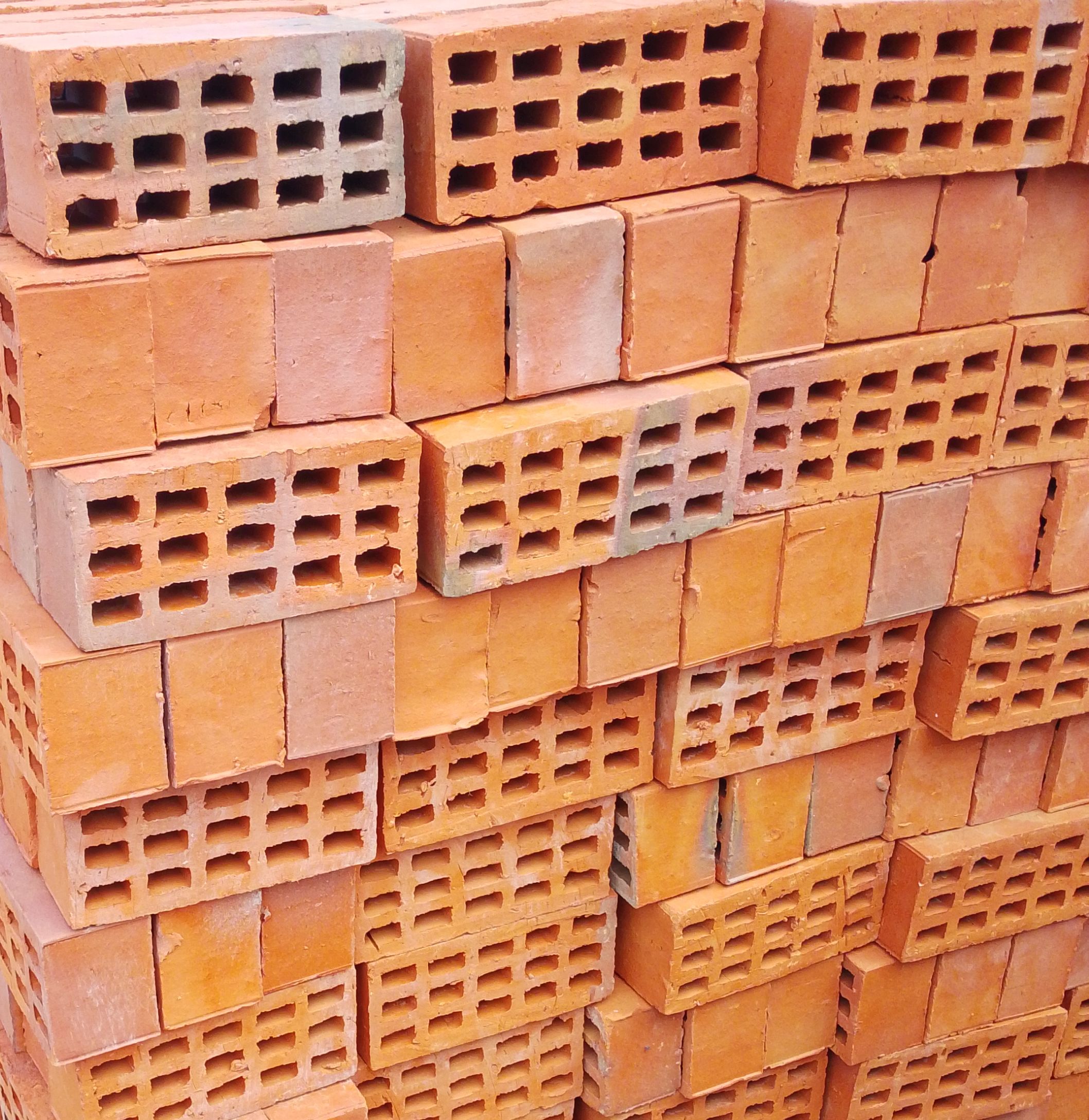 Selected Bricks