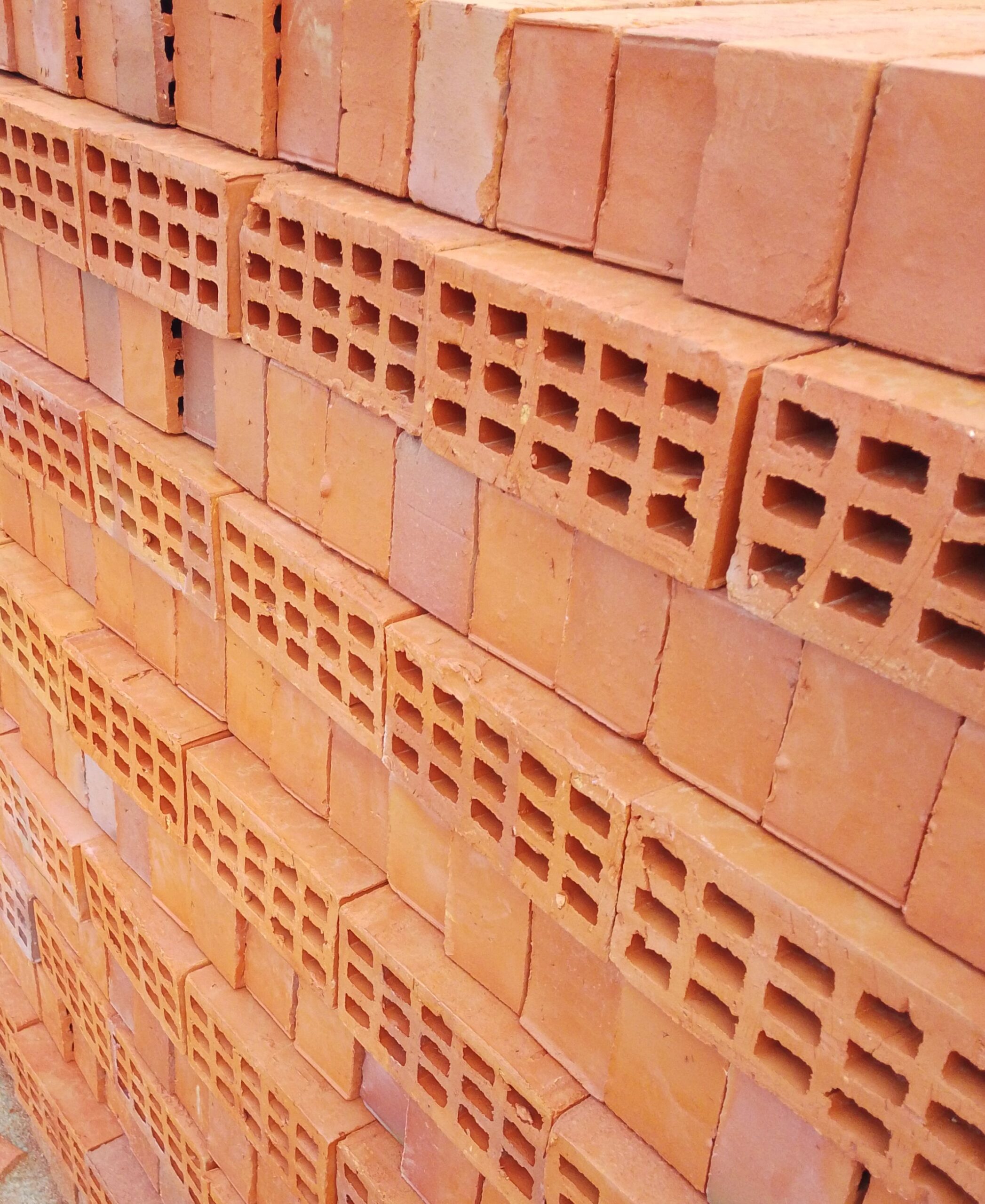 Selected Bricks